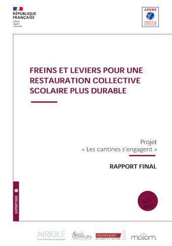 Visuel - freins et leviers